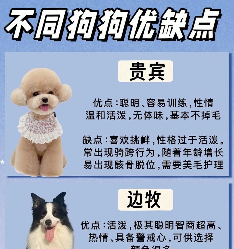 狗狗通常不喜欢什么?如何了解狗狗的喜好? 狗狗通常不喜欢什么?如何了解狗狗的喜好?