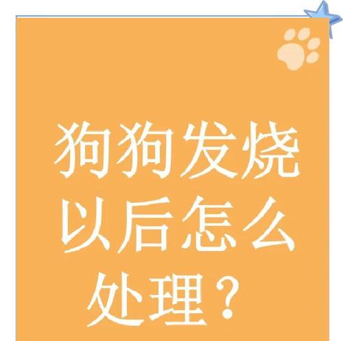 狗狗发烧持续不退应该怎么办？如何正确处理？