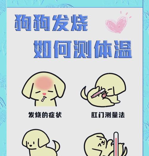 狗狗发烧持续不退应该怎么办？如何正确处理？