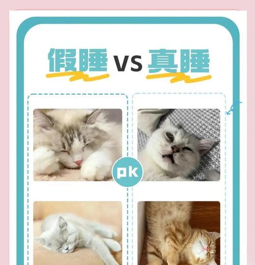 猫咪睡觉时为什么把身体卷成团（探究猫咪的睡姿和习性）