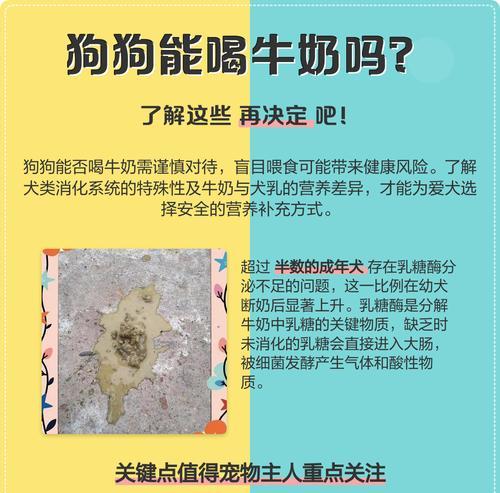 狗狗喝牛奶吐了怎么办?如何预防宠物乳糖不耐受? 狗狗喝牛奶吐了怎么办?如何预防宠物乳糖不耐受?