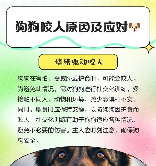 狗狗突然自残咬人的原因是什么? 狗狗突然自残咬人的原因是什么?