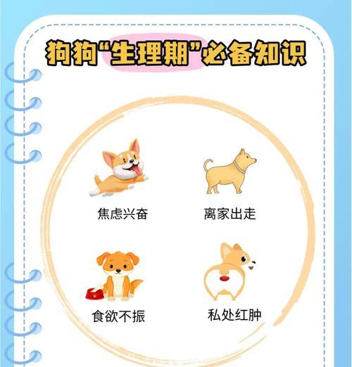 为什么狗狗需要绝育（了解绝育的重要性和益处）