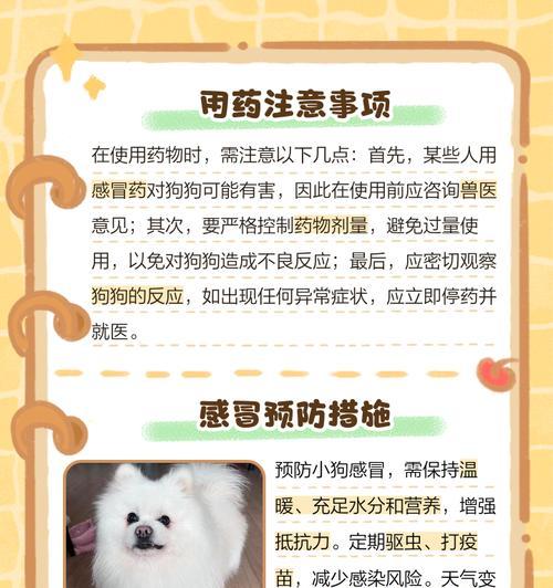 狗狗感冒了应该吃什么药?如何判断狗狗感冒? 狗狗感冒了应该吃什么药?如何判断狗狗感冒?