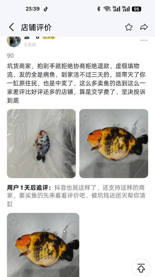 观赏鱼胀死有哪些症状？如何及时发现和处理？