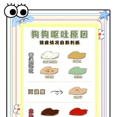 狗狗呕吐后如何缓解症状? 狗狗呕吐后如何缓解症状?