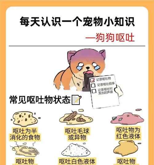 狗狗呕吐后如何缓解症状? 狗狗呕吐后如何缓解症状?