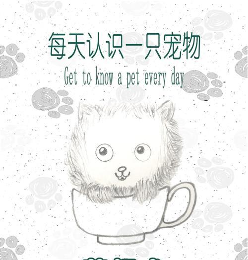 茶杯犬幼犬的喂食量是多少克?茶杯犬的饮食需要注意什么? 茶杯犬幼犬的喂食量是多少克?茶杯犬的饮食需要注意什么?