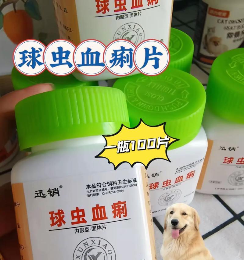 狗狗球虫感染应该吃什么药?如何预防? 狗狗球虫感染应该吃什么药?如何预防?