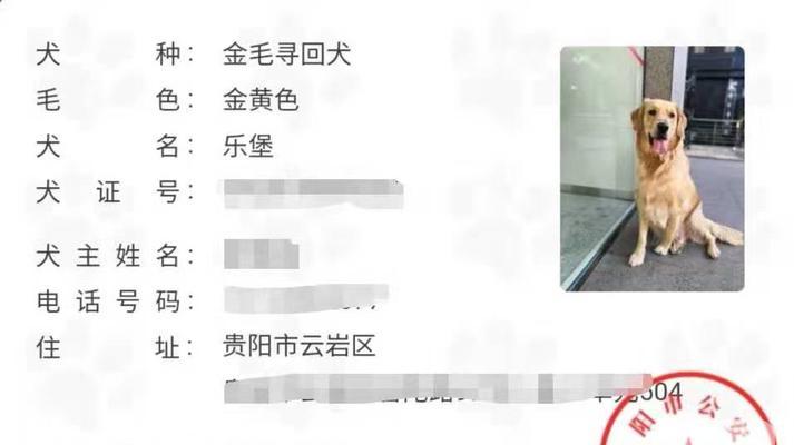 狗狗身份证如何办理?需要哪些手续和材料? 狗狗身份证如何办理?需要哪些手续和材料?