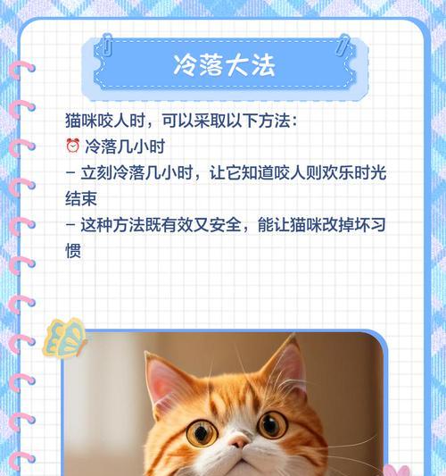 怎么纠正小猫啃衣服?有哪些有效的方法? 怎么纠正小猫啃衣服?有哪些有效的方法?