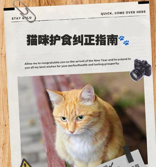 怎么纠正小猫啃衣服?有哪些有效的方法? 怎么纠正小猫啃衣服?有哪些有效的方法?