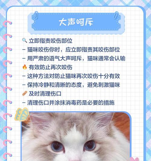 怎么纠正小猫啃衣服?有哪些有效的方法? 怎么纠正小猫啃衣服?有哪些有效的方法?