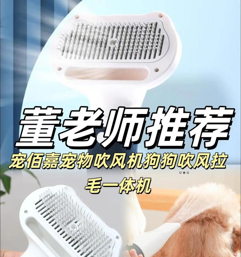 狗狗害怕吹风机怎么解决？有哪些训练方法？