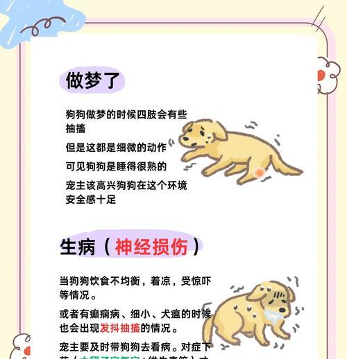 狗狗饭前发抖的原因是什么？