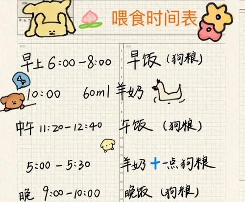 泰迪幼犬几岁开始喂食？