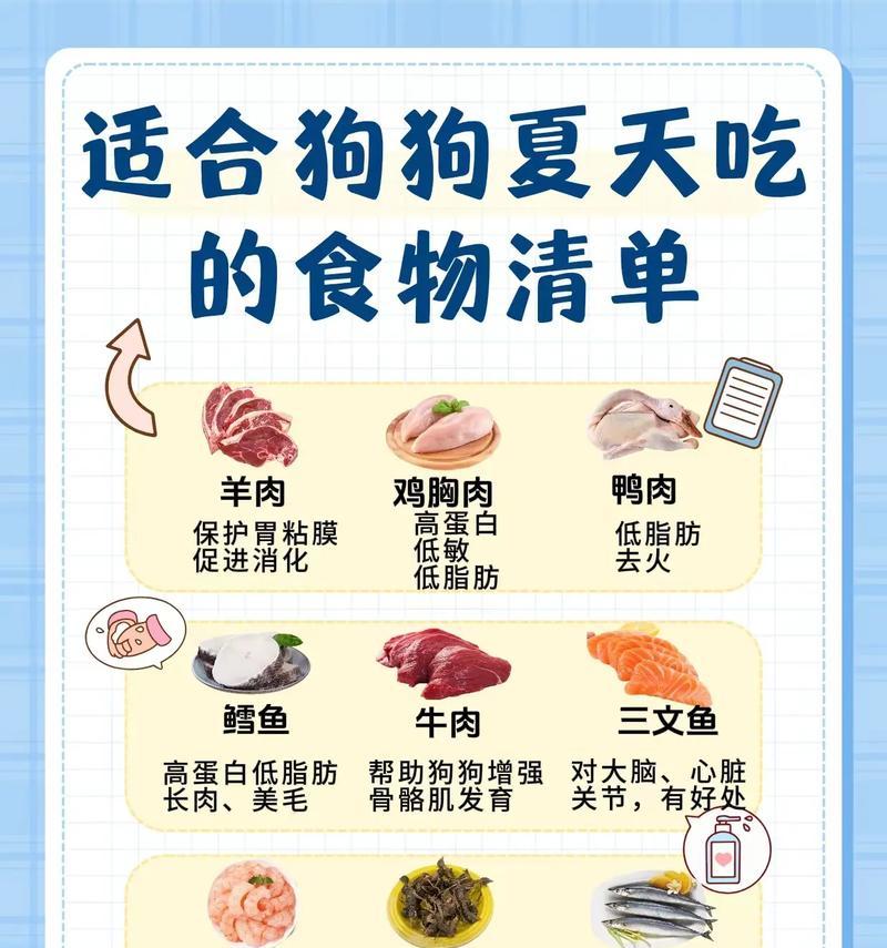 狗狗吃什么长肉大户？有哪些食物可以帮助狗狗增重？