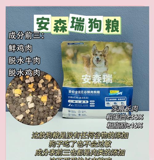 狗狗吃什么长肉大户？有哪些食物可以帮助狗狗增重？