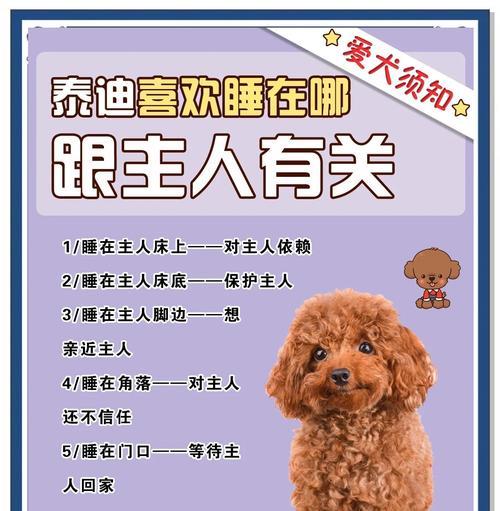 为什么狗喜欢睡床上(探究狗狗的行为心理与睡眠习惯) 为什么狗喜欢睡床上(探究狗狗的行为心理与睡眠习惯)