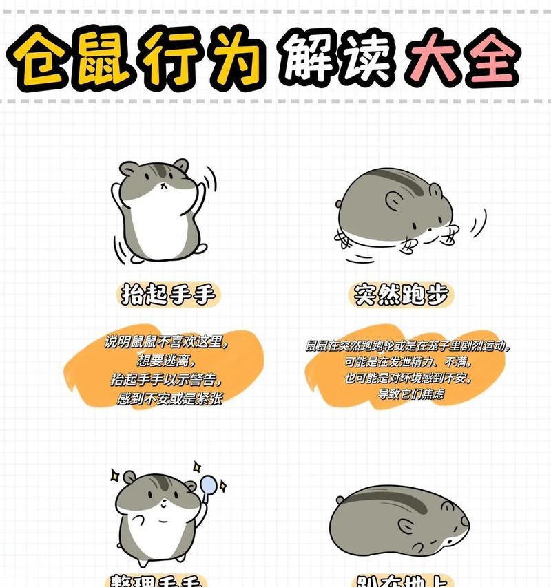 养仓鼠有哪些乐趣？
