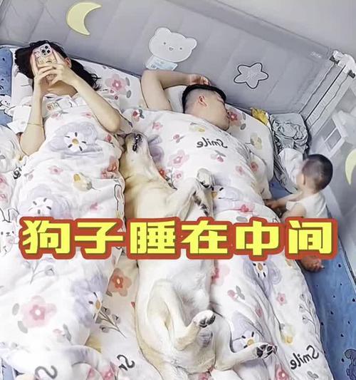 为什么狗狗喜欢在门口睡觉(探究狗狗在门口睡觉的原因和意义) 为什么狗狗喜欢在门口睡觉(探究狗狗在门口睡觉的原因和意义)