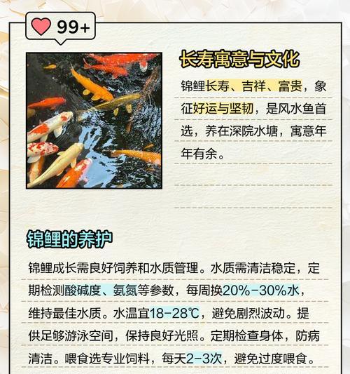 锦鲤能长到比鸭子还大吗?原因是什么? 锦鲤能长到比鸭子还大吗?原因是什么?