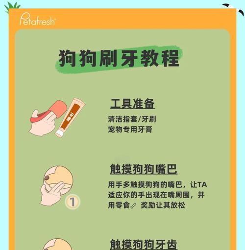 狗狗刷牙后如何正确漱口？