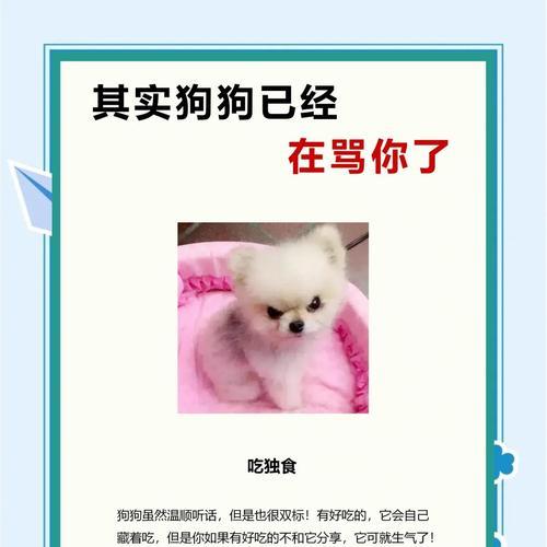 狗狗反抗打骂的表现有哪些?如何识别狗狗的反抗行为? 狗狗反抗打骂的表现有哪些?如何识别狗狗的反抗行为?