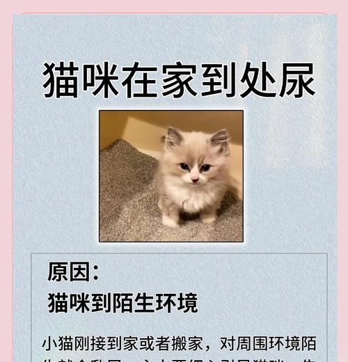 老公猫到处尿是领地标记吗?如何训练它停止? 老公猫到处尿是领地标记吗?如何训练它停止?
