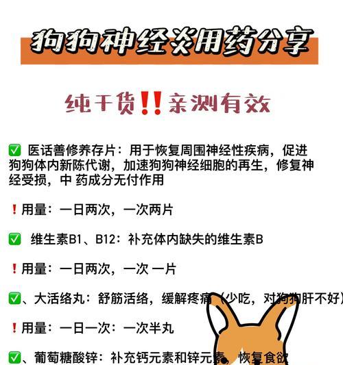 狗狗发抖和抽筋的区别(了解狗狗身体语言) 狗狗发抖和抽筋的区别(了解狗狗身体语言)