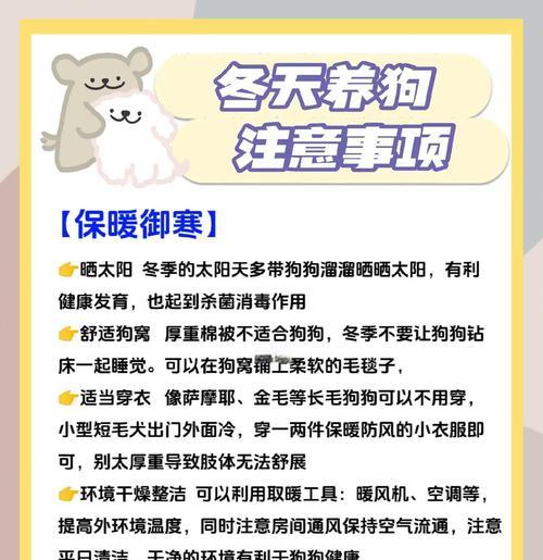 狗狗感到寒冷时应该怎么办？如何为狗狗保暖？