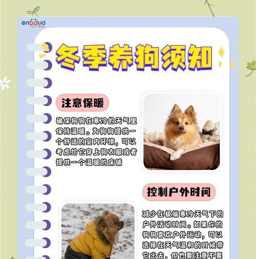 狗狗感到寒冷时应该怎么办?如何为狗狗保暖? 狗狗感到寒冷时应该怎么办?如何为狗狗保暖?
