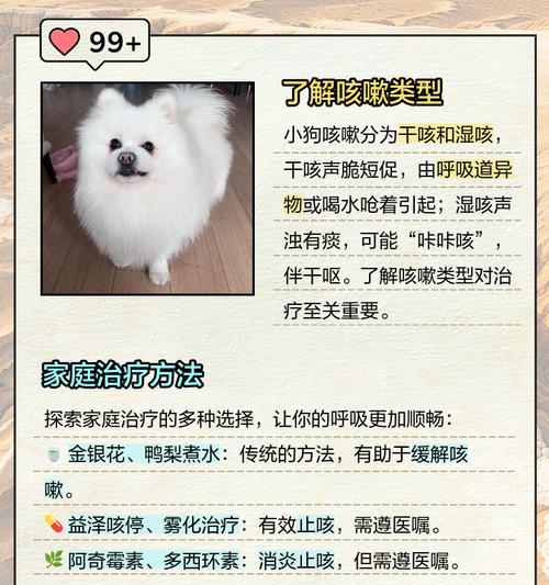 狗狗咳嗽需要办理什么手续？如何为咳嗽的狗狗寻求帮助？