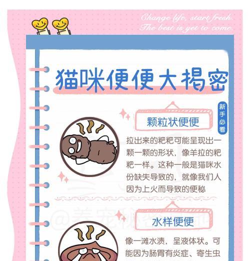 小猫便秘如何正确观察? 小猫便秘如何正确观察?