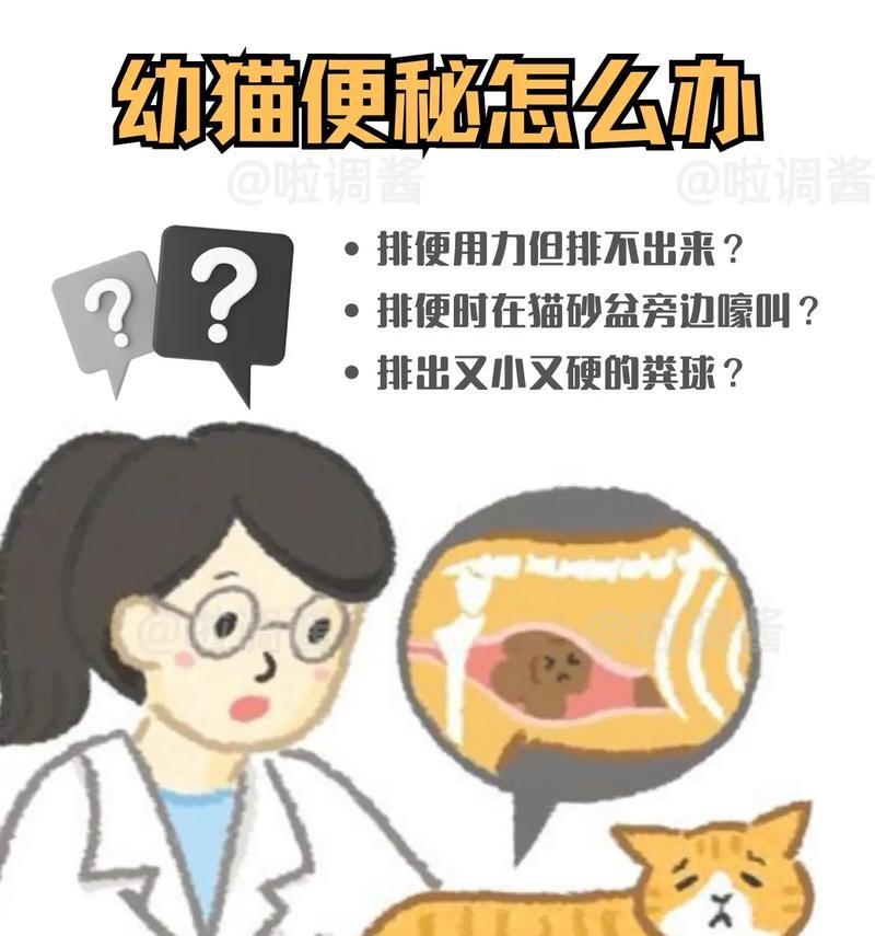 小猫便秘如何正确观察? 小猫便秘如何正确观察?