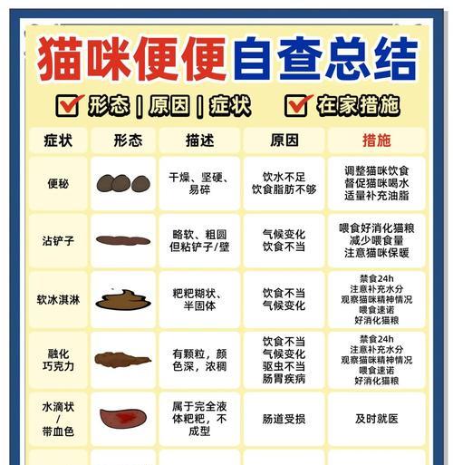 小猫便秘如何正确观察? 小猫便秘如何正确观察?