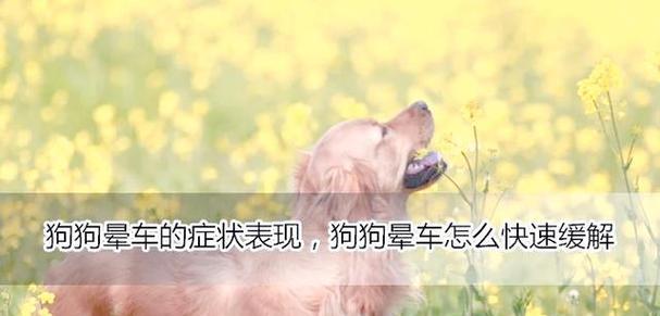 狗狗为何不会晕船？晕船与狗狗的生理结构有何关系？