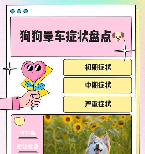 狗狗为何不会晕船?晕船与狗狗的生理结构有何关系? 狗狗为何不会晕船?晕船与狗狗的生理结构有何关系?