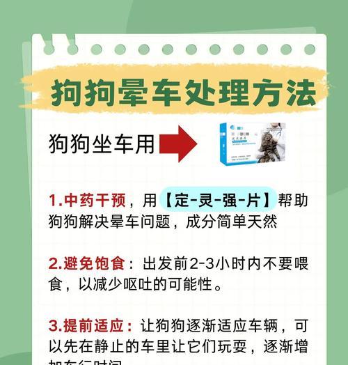狗狗为何不会晕船?晕船与狗狗的生理结构有何关系? 狗狗为何不会晕船?晕船与狗狗的生理结构有何关系?