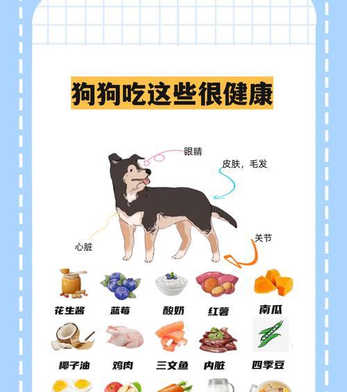 狗狗的饮食偏好有哪些？