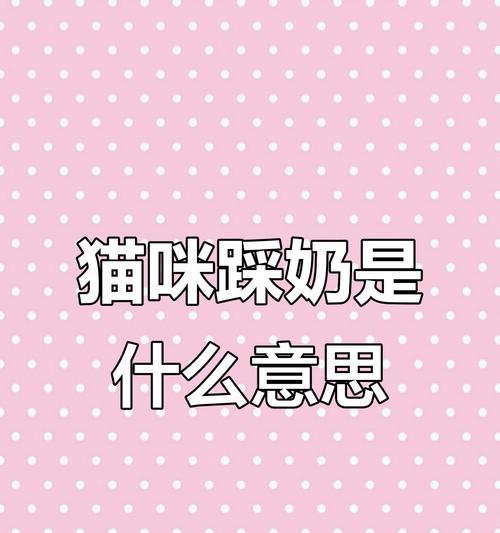 猫咪踩奶行为的神秘背后（探讨猫咪为何会踩奶及其意义）