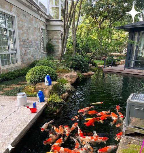 锦鲤鱼池护坡植物的养护方法是什么？