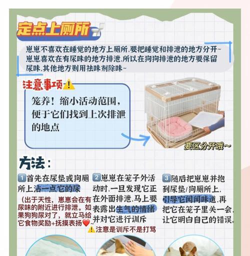 狗狗咬笼子怎么教？如何训练狗狗停止咬笼子？