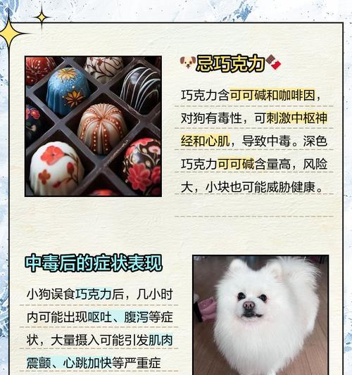 针对不同原因,分析狗狗厌食的解决方法(针对不同原因) 针对不同原因,分析狗狗厌食的解决方法(针对不同原因)