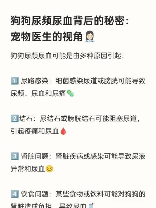 狗狗尿频呕吐原因及治疗方法(详细解析狗狗尿频呕吐的症状与处理) 狗狗尿频呕吐原因及治疗方法(详细解析狗狗尿频呕吐的症状与处理)