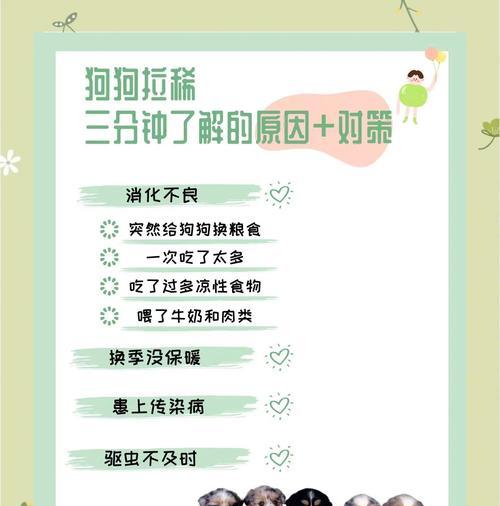 狗狗尿频呕吐原因及治疗方法（详细解析狗狗尿频呕吐的症状与处理）
