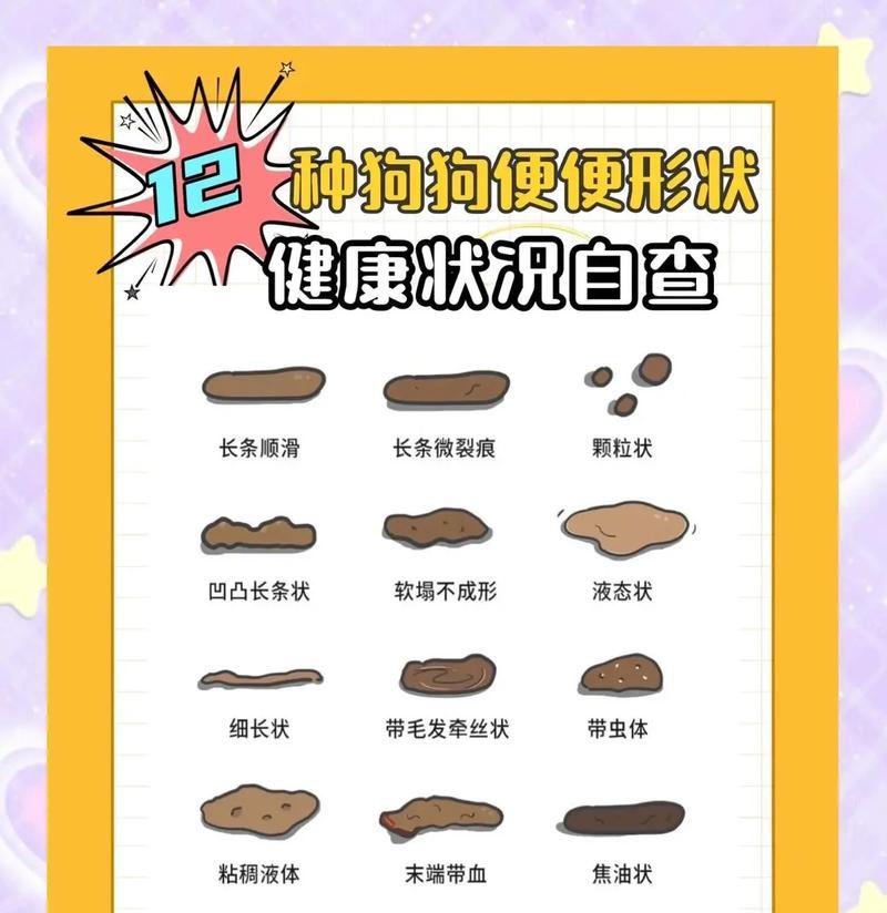 狗狗尿频呕吐原因及治疗方法(详细解析狗狗尿频呕吐的症状与处理) 狗狗尿频呕吐原因及治疗方法(详细解析狗狗尿频呕吐的症状与处理)