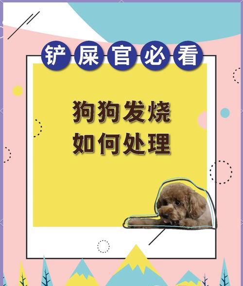 狗狗发烧应该喂什么药？如何正确处理？