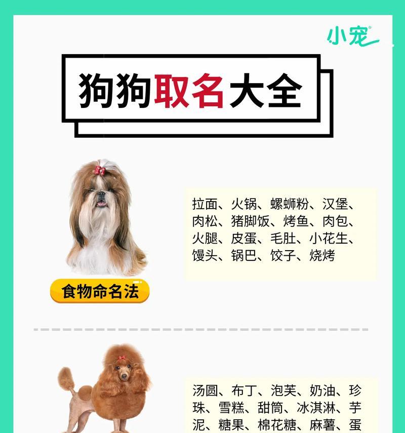 狗狗姓桑时如何取名?有哪些好听的名字推荐? 狗狗姓桑时如何取名?有哪些好听的名字推荐?