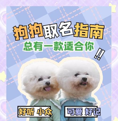 狗狗姓桑时如何取名?有哪些好听的名字推荐? 狗狗姓桑时如何取名?有哪些好听的名字推荐?